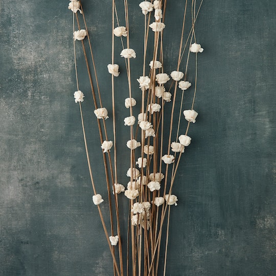 8 Pack: Natural Ting Branches with Sola Flowers by Ashland®